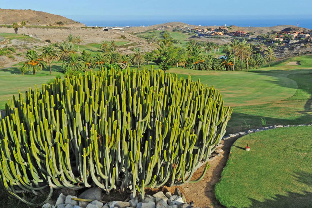 Salobre Las Terrazas 10 Maspalomas (Gran Canaria) Exterior foto